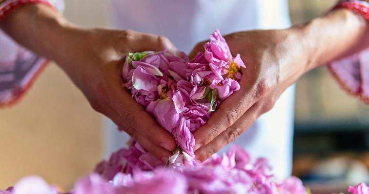 Hands forming a heart shape with pink roses, representing abundance in love, relationships, and life, beyond financial wealth.